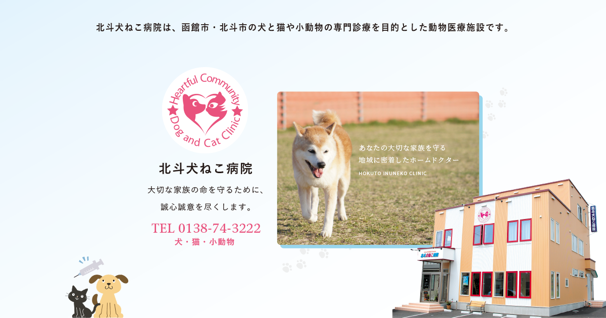 診療について|北斗犬ねこ病院 函館市・北斗市の動物医療施設